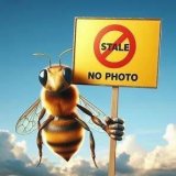 画像: こむしちゃんのかんづめ パート３７（６月）【◇２００円カプセル　５０個入り　タカラトミー】＋正規台紙