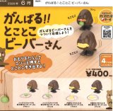 画像: がんばる！とことこビーバーさん（６月）【◇４００円カプセル　３０個入り　ベネリック】＋正規台紙