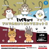 画像: ハイキュー！！ アニマルぬいぐるみマスコット2（６月）【◇５００円カプセル　２０個入り　ケイカンパニー】＋正規台紙