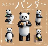 画像: あるひのパンダさん（６月）【◇５００円カプセル　２０個入り　ブルーマウンテン】＋正規台紙