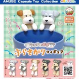 画像: シュナとボブぶらさがりフィギュア（再販）（７月）【◆４００円カプセル　３０個入り　アミューズ】＋正規台紙