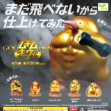 画像: ＧＯＬＤＥＮムキムキーウィ（再販）（８月）【◆２００円カプセル　５０個入り　エール】＋正規台紙