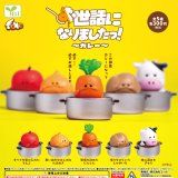 画像: お世話になりましたっ！－カレー－（７月）【◆３００円カプセル　４０個入り　エール】＋正規台紙