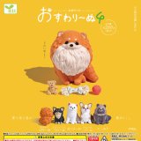 画像: おすわりーぬ４（８月）【◆２００円カプセル　５０個入り　エール】＋正規台紙