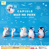画像: カプセルマリンパーク－ペンギン－（７月）【◆３００円カプセル　４０個入り　エール】＋正規台紙