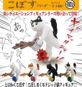 画像: こぼすシリーズ -おみそ汁ネコ編-（７月）【◆５００円カプセル　２０個入り　奇譚クラブ】＋正規台紙