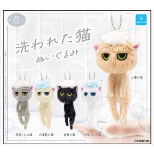 画像: 洗われた猫 ぬいぐるみ(7月)【◆500円カプセル 20個入り クオリア】+正規台紙