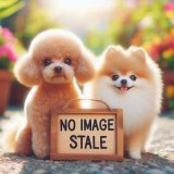 画像: ニック＆ジュディ　コスチュームフィギュアコレクション（７月）【◆４００円カプセル　３０個入り　タカラトミー】＋正規台紙