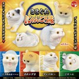 画像: きまぐれ にゃんころ隊（７月）【◆２００円カプセル　５０個入り　スタンバイ】＋正規台紙