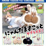 画像: にゃんたますこっとサプライズ（８月）【□３００円カプセル　４０個入り　アミューズ】＋正規台紙