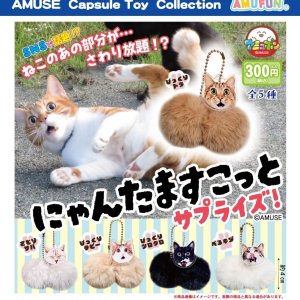 画像: にゃんたますこっとサプライズ（８月）【□３００円カプセル　４０個入り　アミューズ】＋正規台紙