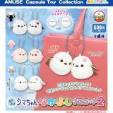 画像: ふくふくシマちゃんなかよしマスコット２（８月）【□５００円カプセル　２０個入り　アミューズ】＋正規台紙
