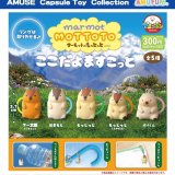 画像: マーモットのもっとっとここだよますこっと（８月）【□３００円カプセル　４０個入り　アミューズ】＋正規台紙