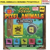 画像: PIXEL ANIMALS in OKINAWA アクリルマグネット（８月）【□５００円カプセル　２４個入り　イエロー】＋正規台紙