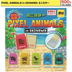画像: PIXEL ANIMALS in OKINAWA ミニミラー（８月）【□５００円カプセル　２４個入り　イエロー】＋正規台紙