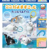 画像: ここだよますこっとたぷむちあざらし（再販）（８月）【□２００円カプセル　５０個入り　アミューズ】＋正規台紙