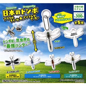 画像: 日本のトンボ　アクリルチャーム&アンブレラマーカー（８月）【□３００円カプセル　４０個入り　吉岡工業社】＋正規台紙１枚