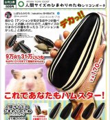 画像: ATC 人間サイズのひまわりのたね シリコンポーチ（８月）【□５００円カプセル　２０個入り　いきもん】＋正規台紙