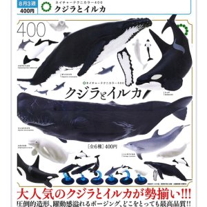 画像: NTC400 クジラとイルカ（再販）（８月）【□４００円カプセル　３０個入り　いきもん】＋正規台紙