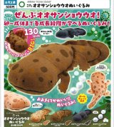 画像: ATC こた オオサンショウウオぬいぐるみ（８月）【□５００円カプセル　２０個入り　いきもん】＋正規台紙