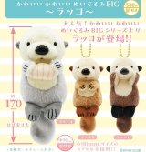 画像: かわいいかわいい ぬいぐるみ BIG（ラッコ）（８月）【□５００円カプセル　２０個入り　奇譚クラブ】＋正規台紙