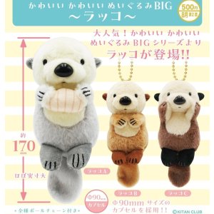 画像: かわいいかわいい ぬいぐるみ BIG（ラッコ）（８月）【□５００円カプセル　２０個入り　奇譚クラブ】＋正規台紙
