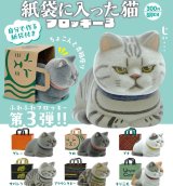 画像: 紙袋に入った猫 フロッキー3（８月）【□３００円カプセル　４０個入り　奇譚クラブ】＋正規台紙
