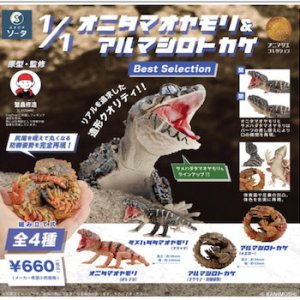 画像: ＴＦＣ　1/1オニタマオヤモリ&アルマジロトカゲ Best Selection（８月）【□１ＢＯＸ ４個入り　SO-TA】