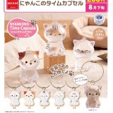 画像: にゃんこのタイムカプセル（８月）【□２００円カプセル　５０個入り　ビーム】＋正規台紙