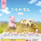 画像: ふちやすみ こぶた（８月）【□３００円カプセル　４０個入り　エール】＋正規台紙