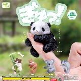 画像: ぎゅっ！（８月）【□３００円カプセル　４０個入り　エール】＋正規台紙