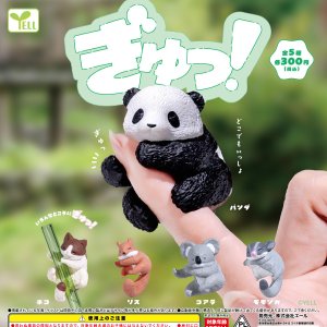 画像: ぎゅっ！（８月）【□３００円カプセル　４０個入り　エール】＋正規台紙