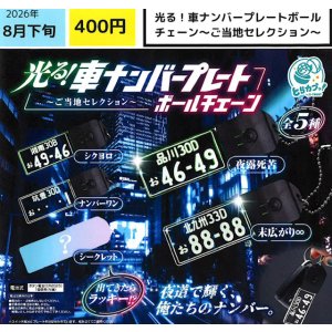 画像: 光る！車ナンバープレートコレクション（ご当地セレクション）（８月）【□４００円カプセル　３０個入り　エス・トラスト】＋正規台紙