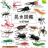 画像: 昆虫図鑑（再販）（８月）（□１００円カプセル　１００個入り　共同】＋正規台紙