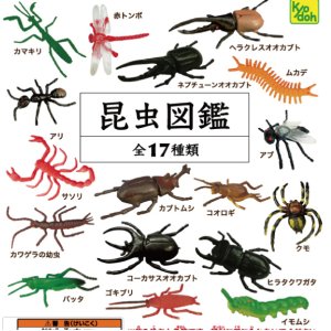 画像: 昆虫図鑑（再販）（８月）（□１００円カプセル　１００個入り　共同】＋正規台紙