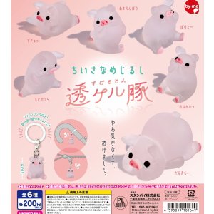 画像: ちいさなめじるし 透ケル豚（８月）【□２００円カプセル　５０個入り　スタンバイ】＋正規台紙