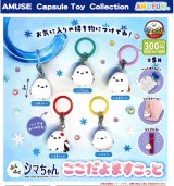 画像: ふくふくシマちゃんここだよますこっと（９月）【■３００円カプセル　４０個入り　アミューズ】＋正規台紙