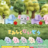 画像: さみしくないぞう（９月）【■２００円カプセル　５０個入り　エール】＋正規台紙