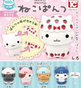 画像: ねこぱんつ（９月）【■４００円カプセル　３０個入り　トイズキャビン】＋正規台紙