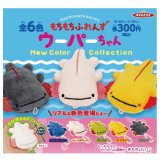 画像: もちもちフレンズウーパーちゃん　New　Color 　Collection（９月）【■３００円カプセル　４０個入り　アクセス】＋正規台紙