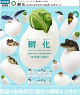 画像: NTC MONO+ 孵化 フィギュアマスコット＆ボールチェーン（１０月）【△５００円カプセル　２０個入り　いきもん】＋正規台紙