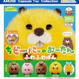 画像: ちビーバーのむーたんふわふわぽん（１０月）【△３００円カプセル　４０個入り　アミューズ】＋正規台紙