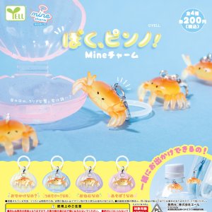 画像: ぼく、ピンノ！ｍｉｎｅチャーム（１０月）【△２００円カプセル　５０個入り　エール】＋正規台紙