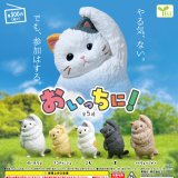 画像: おいっちに！（１０月）【△３００円カプセル　４０個入り　エール】＋正規台紙