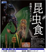 画像: 昆虫食 串焼きミニチュア（１０月）【△５００円カプセル　２０個入り　レインボー】＋正規台紙