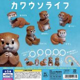 画像: ちいさなめじるし カワウソライト（１０月）【△２００円カプセル　５０個入り　スタンバイ】＋正規台紙