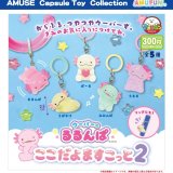 画像: ウーパーのるるんぱここだよますこっと2（１１月）【▲３００円カプセル　４０個入り　アミューズ】＋正規台紙