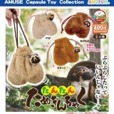 画像: たんたんたぬきんちゃく（１１月）【▲４００円カプセル　３０個入り　アミューズ】＋正規台紙