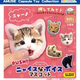 画像: ニャイスなボイスマスコット（１１月）【▲４００円カプセル　３０個入り　アミューズ】＋正規台紙