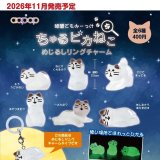 画像: ちゅるピカねこ めじるしリングチャーム（１１月）【▲４００円カプセル　３０個入り　アオポップ】＋正規台紙